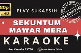 Karaoke Lagu Elvy Sukaesih