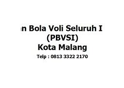 Logo Bola Voli Pbvsi